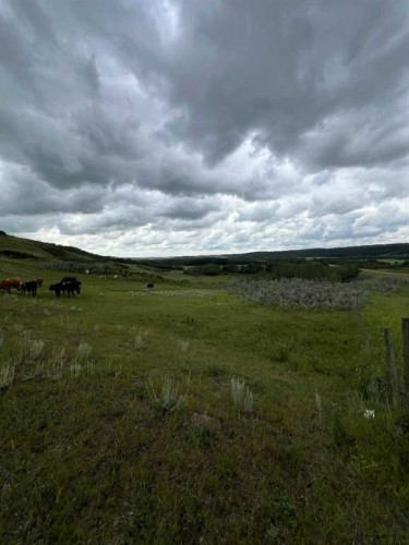 14123 Township Road 404, Rural Flagstaff County, AB - Outdoor With View