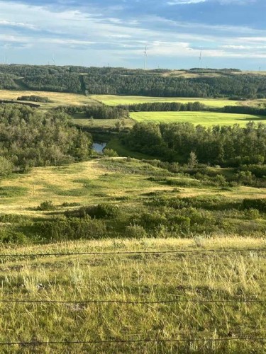 14123 Township Road 404, Rural Flagstaff County, AB - Outdoor With View