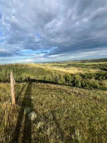14123 Township Road 404, Rural Flagstaff County, AB - Outdoor With View
