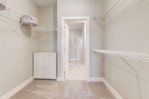 220-20 Silverado Crest Park Sw, Calgary, AB - Indoor With Storage