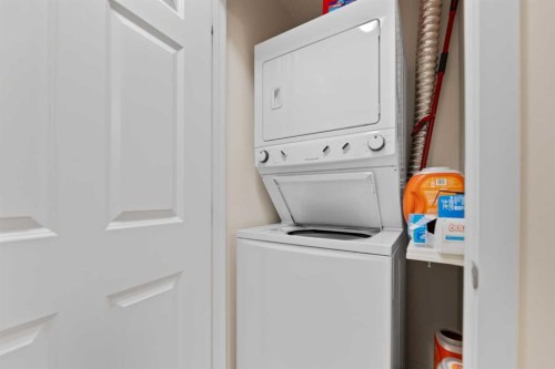 4414-99 Copperstone Park Se, Calgary, AB - Indoor Photo Showing Laundry Room