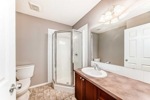 135 Copperstone Grove Se, Calgary, AB - Indoor Photo Showing Bathroom