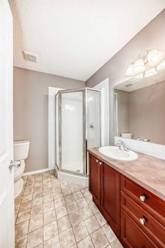 135 Copperstone Grove Se, Calgary, AB - Indoor Photo Showing Bathroom
