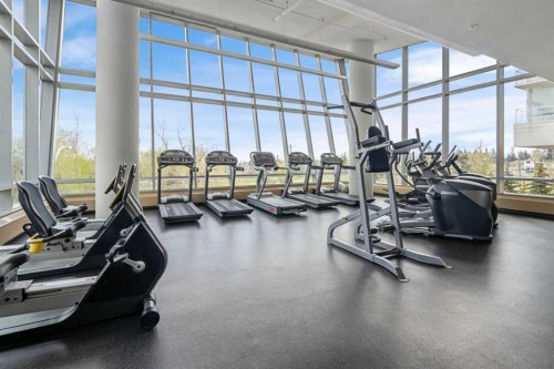 2005-77 Spruce Place Sw, Calgary, AB - Indoor Photo Showing Gym Room
