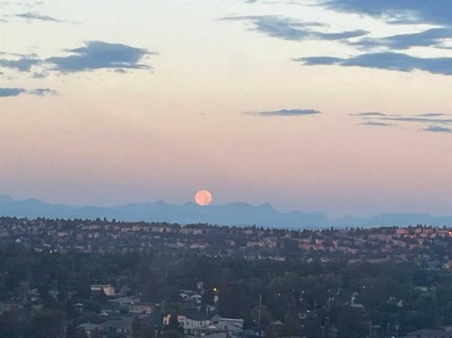 2005-77 Spruce Place Sw, Calgary, AB - Outdoor With View