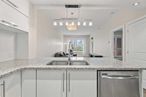 308-1110 3 Avenue Nw, Calgary, AB - Indoor Photo Showing Kitchen With Double Sink With Upgraded Kitchen