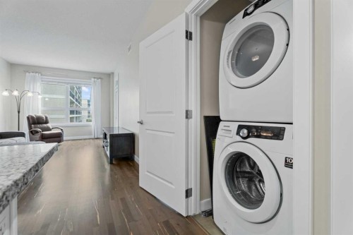308-1110 3 Avenue Nw, Calgary, AB - Indoor Photo Showing Laundry Room