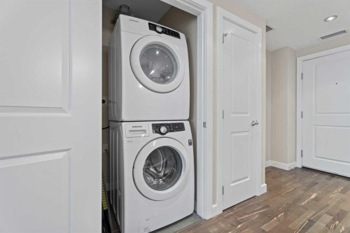 308-1110 3 Avenue Nw, Calgary, AB - Indoor Photo Showing Laundry Room