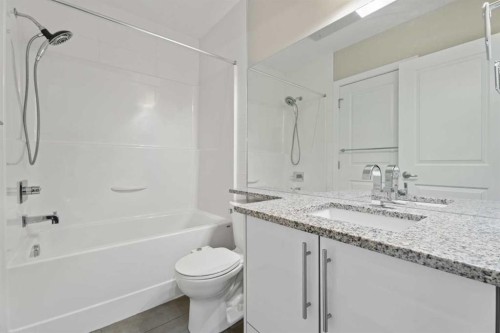 308-1110 3 Avenue Nw, Calgary, AB - Indoor Photo Showing Bathroom