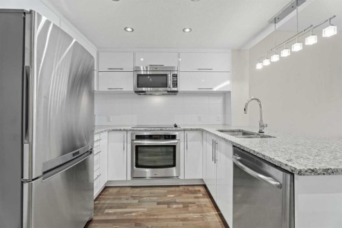 308-1110 3 Avenue Nw, Calgary, AB - Indoor Photo Showing Kitchen With Stainless Steel Kitchen With Double Sink With Upgraded Kitchen