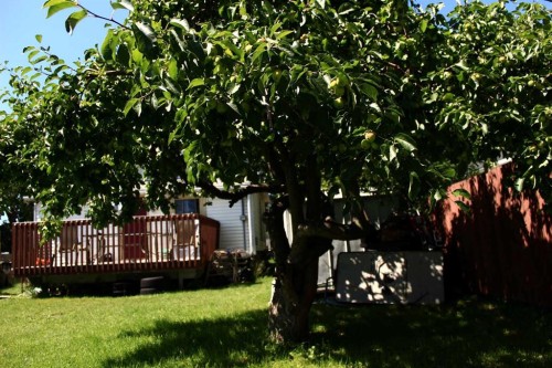 2740 16A Street Se, Calgary, AB - Outdoor