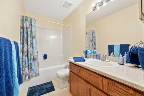 217 Arbour Cliff Close Nw, Calgary, AB - Indoor Photo Showing Bathroom