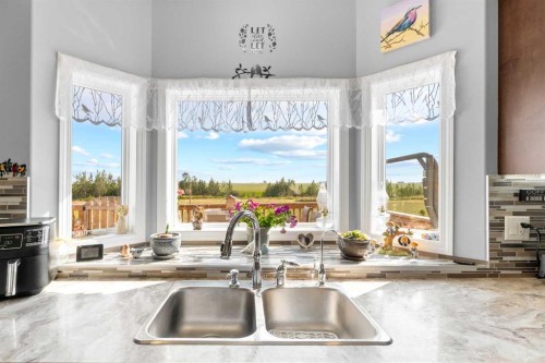 27138 Highway 27 Highway, Rural Mountain View County, AB - Indoor Photo Showing Kitchen With Double Sink