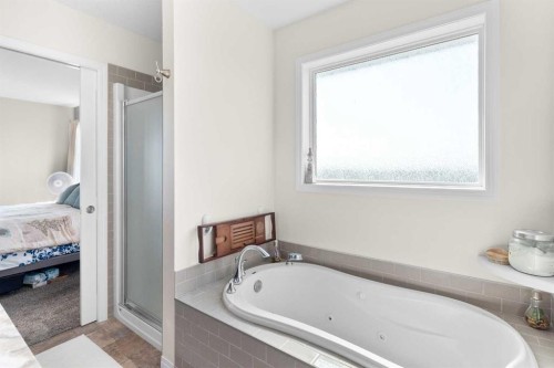 27138 Highway 27 Highway, Rural Mountain View County, AB - Indoor Photo Showing Bathroom