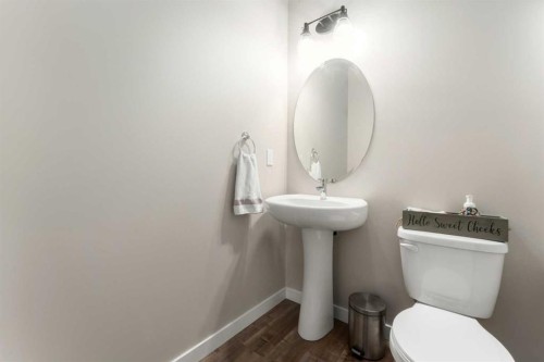 228 Ravenstern Crescent Se, Airdrie, AB - Indoor Photo Showing Bathroom
