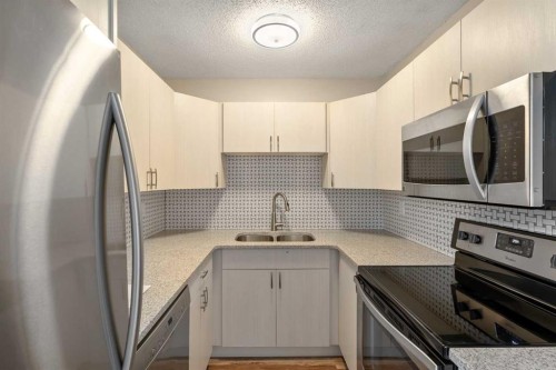 423 10 Avenue Ne, Calgary, AB - Indoor Photo Showing Kitchen With Double Sink