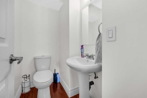 252 21 Avenue Ne, Calgary, AB - Indoor Photo Showing Bathroom