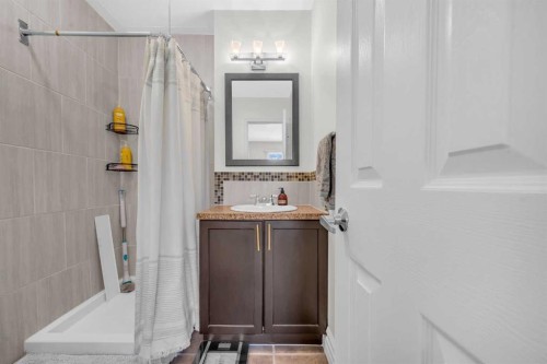 252 21 Avenue Ne, Calgary, AB - Indoor Photo Showing Bathroom
