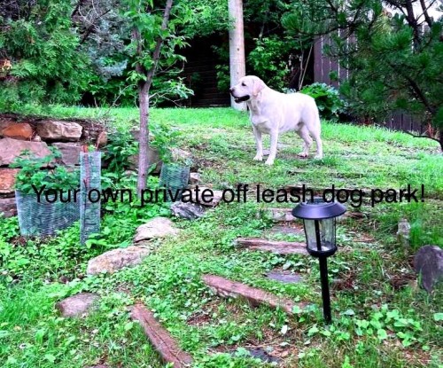 39 34 Avenue Sw, Calgary, AB - Outdoor