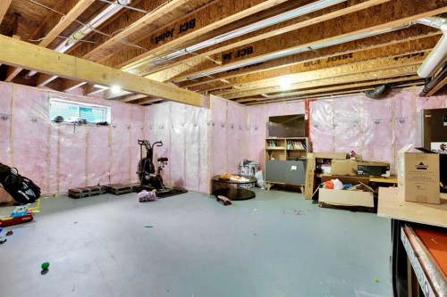 16 Silverado Skies Lane Sw, Calgary, AB - Indoor Photo Showing Basement