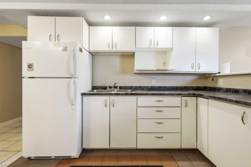 63 Olympia Crescent Se, Calgary, AB - Indoor Photo Showing Kitchen With Double Sink