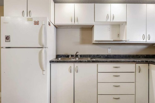 63 Olympia Crescent Se, Calgary, AB - Indoor Photo Showing Kitchen With Double Sink