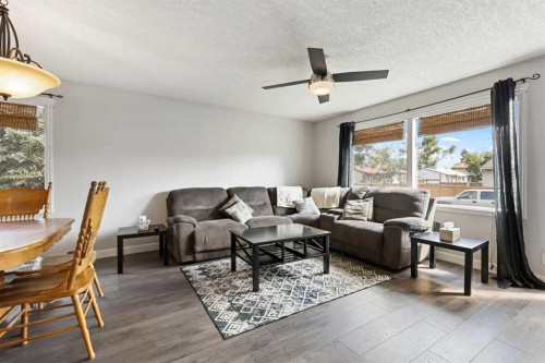 63 Olympia Crescent Se, Calgary, AB - Indoor Photo Showing Living Room