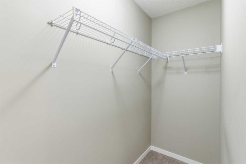 172 New Brighton Point Se, Calgary, AB - Indoor With Storage