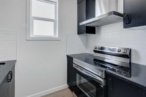 149 Homestead View Ne, Calgary, AB - Indoor Photo Showing Kitchen With Stainless Steel Kitchen With Upgraded Kitchen