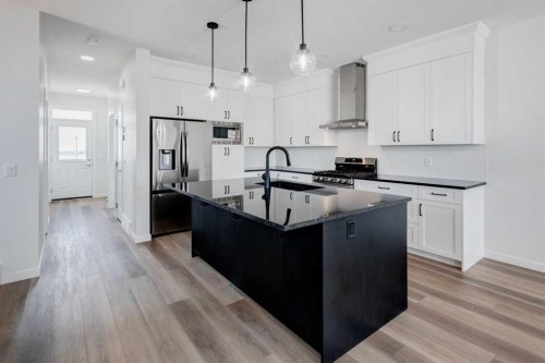 149 Homestead View Ne, Calgary, AB - Indoor Photo Showing Kitchen With Upgraded Kitchen
