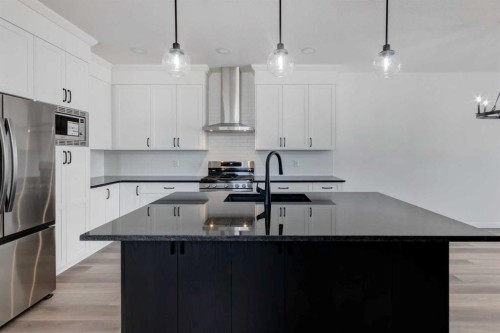 149 Homestead View Ne, Calgary, AB - Indoor Photo Showing Kitchen With Stainless Steel Kitchen With Upgraded Kitchen