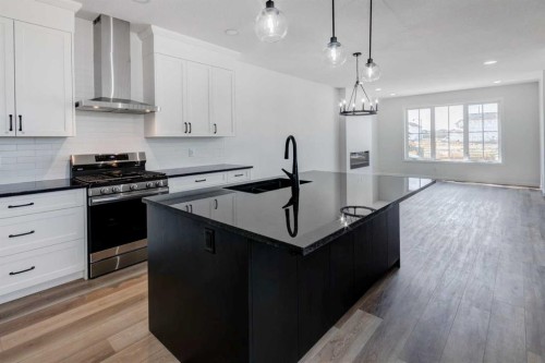 149 Homestead View Ne, Calgary, AB - Indoor Photo Showing Kitchen With Upgraded Kitchen