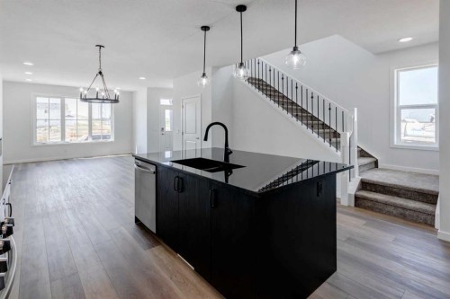 149 Homestead View Ne, Calgary, AB - Indoor Photo Showing Kitchen With Upgraded Kitchen