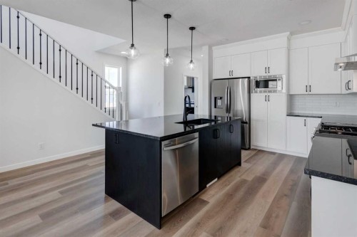 149 Homestead View Ne, Calgary, AB - Indoor Photo Showing Kitchen With Stainless Steel Kitchen With Upgraded Kitchen