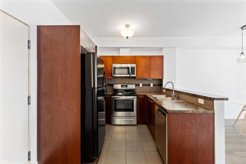 302-2420 34 Avenue Sw, Calgary, AB - Indoor Photo Showing Kitchen With Stainless Steel Kitchen With Double Sink