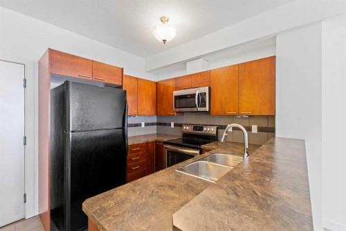 302-2420 34 Avenue Sw, Calgary, AB - Indoor Photo Showing Kitchen With Double Sink