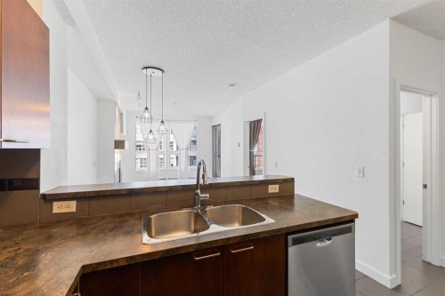 302-2420 34 Avenue Sw, Calgary, AB - Indoor Photo Showing Kitchen With Double Sink