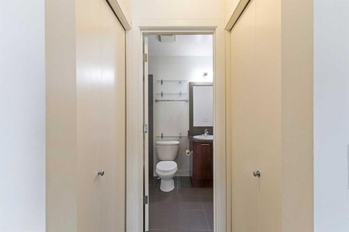 302-2420 34 Avenue Sw, Calgary, AB - Indoor Photo Showing Bathroom