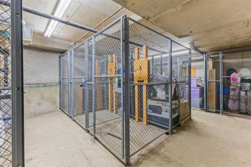 302-2420 34 Avenue Sw, Calgary, AB - Indoor With Storage
