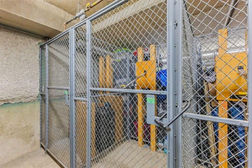 302-2420 34 Avenue Sw, Calgary, AB - Indoor With Storage
