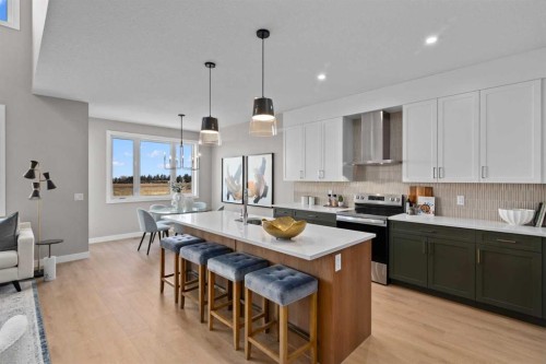 159 Belvedere Crescent Se, Calgary, AB - Indoor Photo Showing Kitchen With Upgraded Kitchen