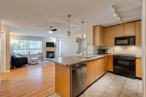 329-22 Richard Place Sw, Calgary, AB - Indoor Photo Showing Kitchen With Double Sink