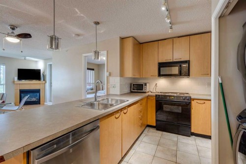 329-22 Richard Place Sw, Calgary, AB - Indoor Photo Showing Kitchen With Double Sink