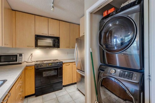 329-22 Richard Place Sw, Calgary, AB - Indoor Photo Showing Laundry Room