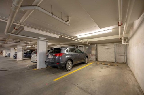3315-240 Skyview Ranch Road Ne, Calgary, AB - Indoor Photo Showing Garage