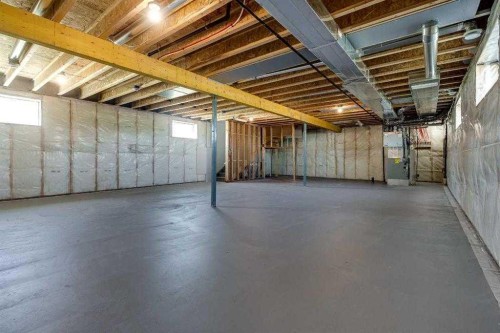 4240 Bauman Way, Innisfail, AB - Indoor Photo Showing Basement