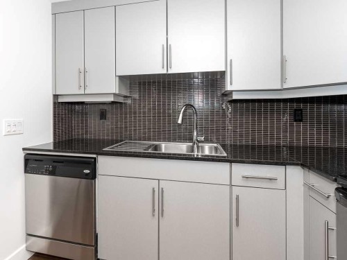 303-410 1 Avenue Ne, Calgary, AB - Indoor Photo Showing Kitchen With Upgraded Kitchen