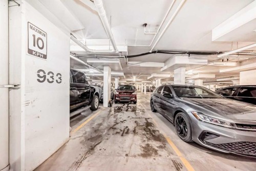 4513-4641 128 Avenue Ne, Calgary, AB - Indoor Photo Showing Garage
