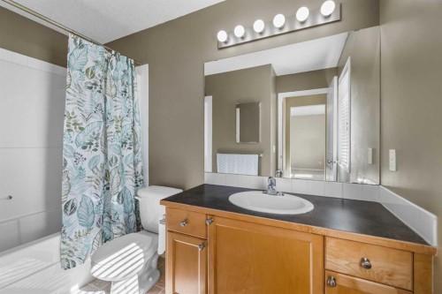 89 Mckenzie Towne Drive Se, Calgary, AB - Indoor Photo Showing Bathroom