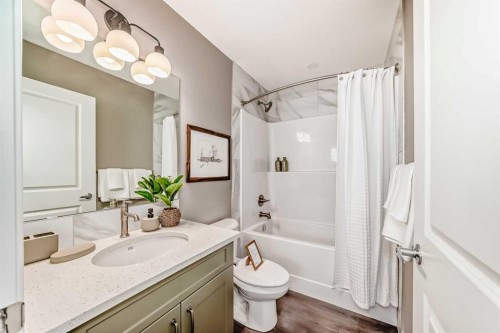 1014 Sawgrass Link Nw, Airdrie, AB - Indoor Photo Showing Bathroom